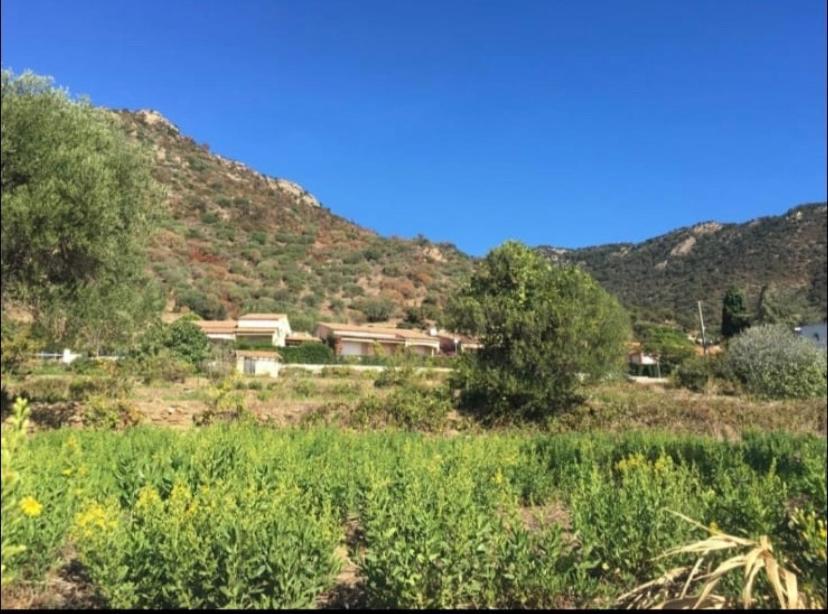 Au petit Bonheur, Studio vue mer avec jardinet&parking 400m plage Le Lavandou Extérieur photo